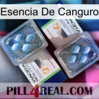 Kangaroo Essence viagra5